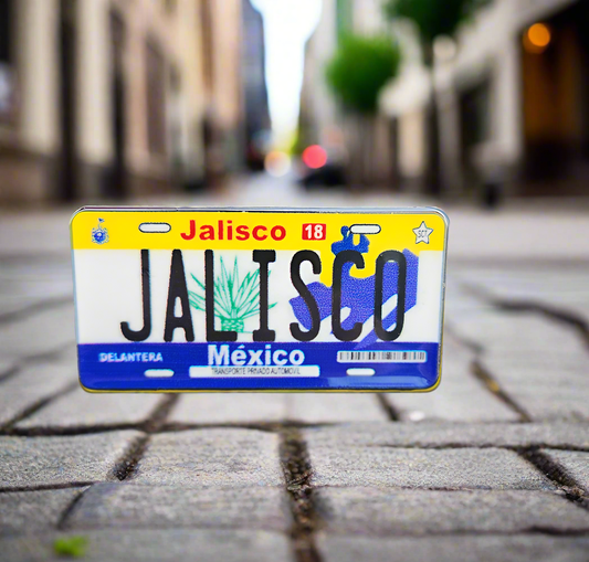 Jalisco Placa Pin