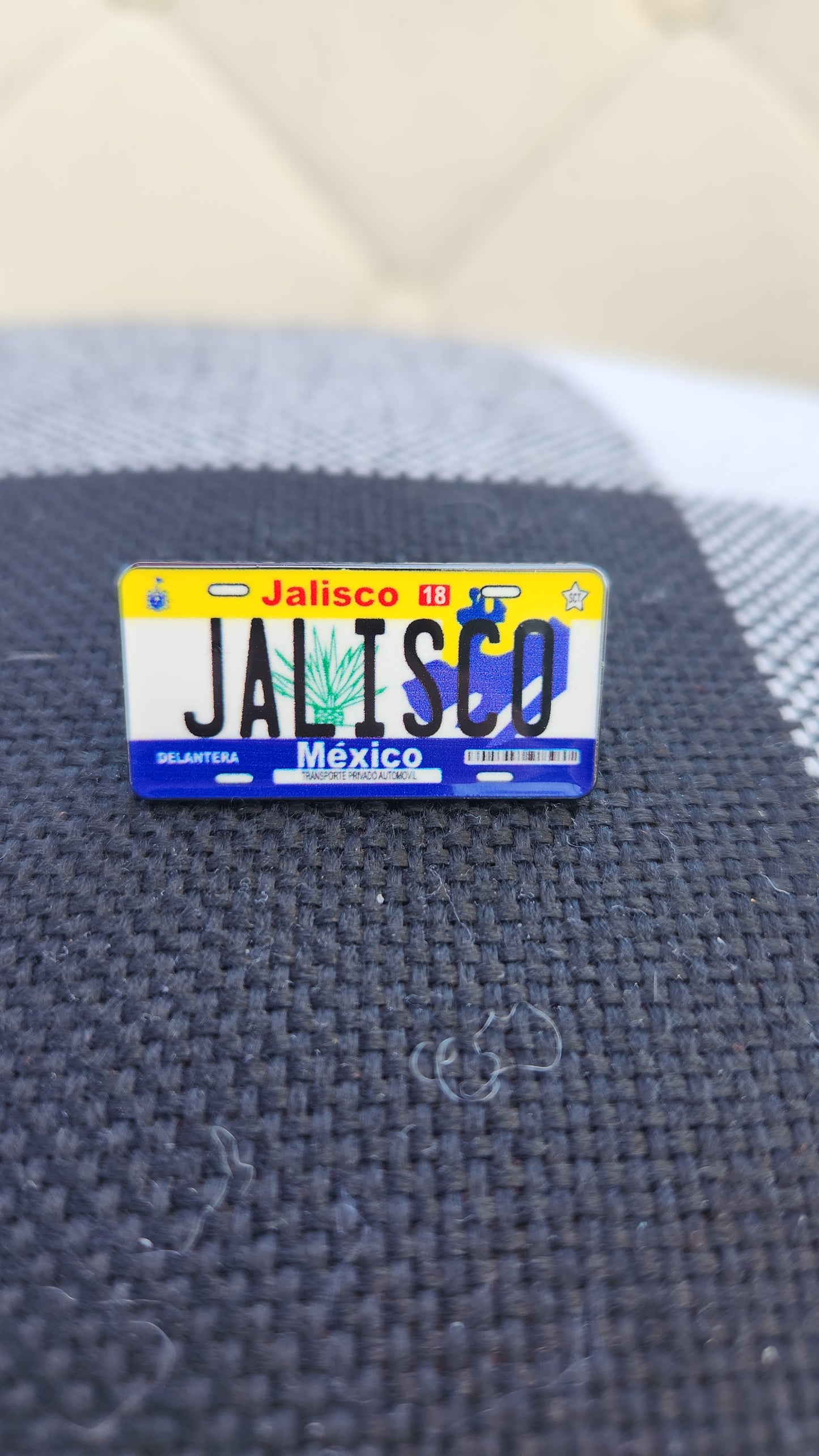 Jalisco Placa Pin